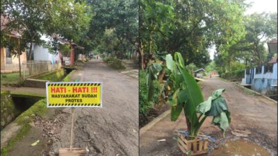 Tak Digubris, Warga Simpayjaya Kembali Tanam Pohon Pisang di Jalan Rusak sebagai Bentuk Protes