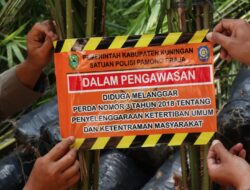 Cegah Kerusakan Lingkungan, Bupati Kuningan Hentikan Penanaman Kelapa Sawit