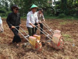 Lahan Terlantar Disulap Jadi Ladang Jagung Inovatif