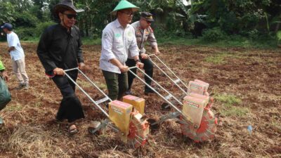 Lahan Terlantar Disulap Jadi Ladang Jagung Inovatif