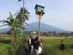 Ekosistem Seimbang, Panen Gemilang: Strategi Hijau Pertanian Kuningan