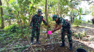 Kodim 0615/Kuningan Tanam 1.000 Bibit Pohon demi Lingkungan Lestari