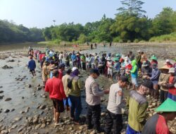 Tradisi Warga Benda Bendung Sungai Cisanggarung, Gotong Royong Jaga Air Sawah di Musim Kemarau