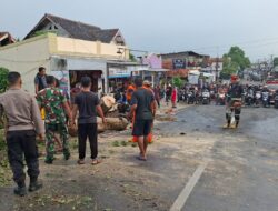 Hujan Deras dan Angin Kencang di Ciawigebang Sebabkan Pohon Tumbang, Jalur Kapandayan–Ciawigebang Sempat Lumpuh