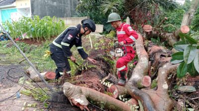 Hujan Deras Bikin Pohon Aren Ambruk, Rumah Warga di Grand Amelia Nyaris Rata Tanah!