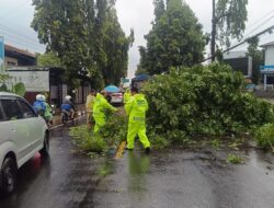 Cuaca Ekstrem di Kuningan, 10 Rumah Rusak dan Pohon Tumbang Tutup Jalan