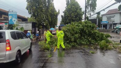 Cuaca Ekstrem di Kuningan, 10 Rumah Rusak dan Pohon Tumbang Tutup Jalan