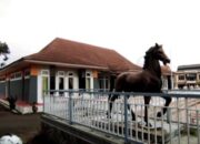 Persaingan Memanas! Ini 5 Kandidat Direktur Perumda Aneka Usaha Kuningan, Siapa Lolos 3 Besar?