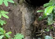 Wisata Alam Cilengkrang Terancam Limbah Kohe, Begini Respons DLH