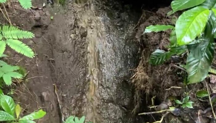 Wisata Alam Cilengkrang Terancam Limbah Kohe, Begini Respons DLH