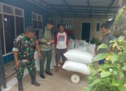 Babinsa Kawal Serap Gabah, Bulog Beli Sesuai Harga Pemerintah