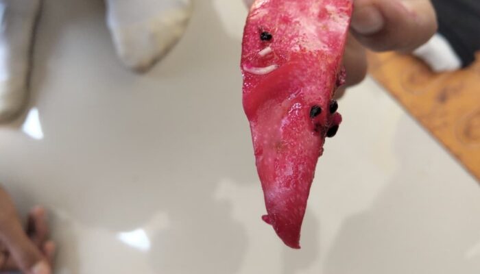 Buah Naga MBG di SMKN 1 Luragung Ditemukan Berulat