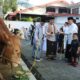 Sapi Kurban Prabowo hingga Bupati Dian Warnai Idul Adha di Kuningan