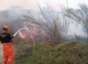 BPBD Majalengka Catat 12 Kasus Karhutla dalam 10 Hari, Lahan Terbakar Capai 10,85 Hektare