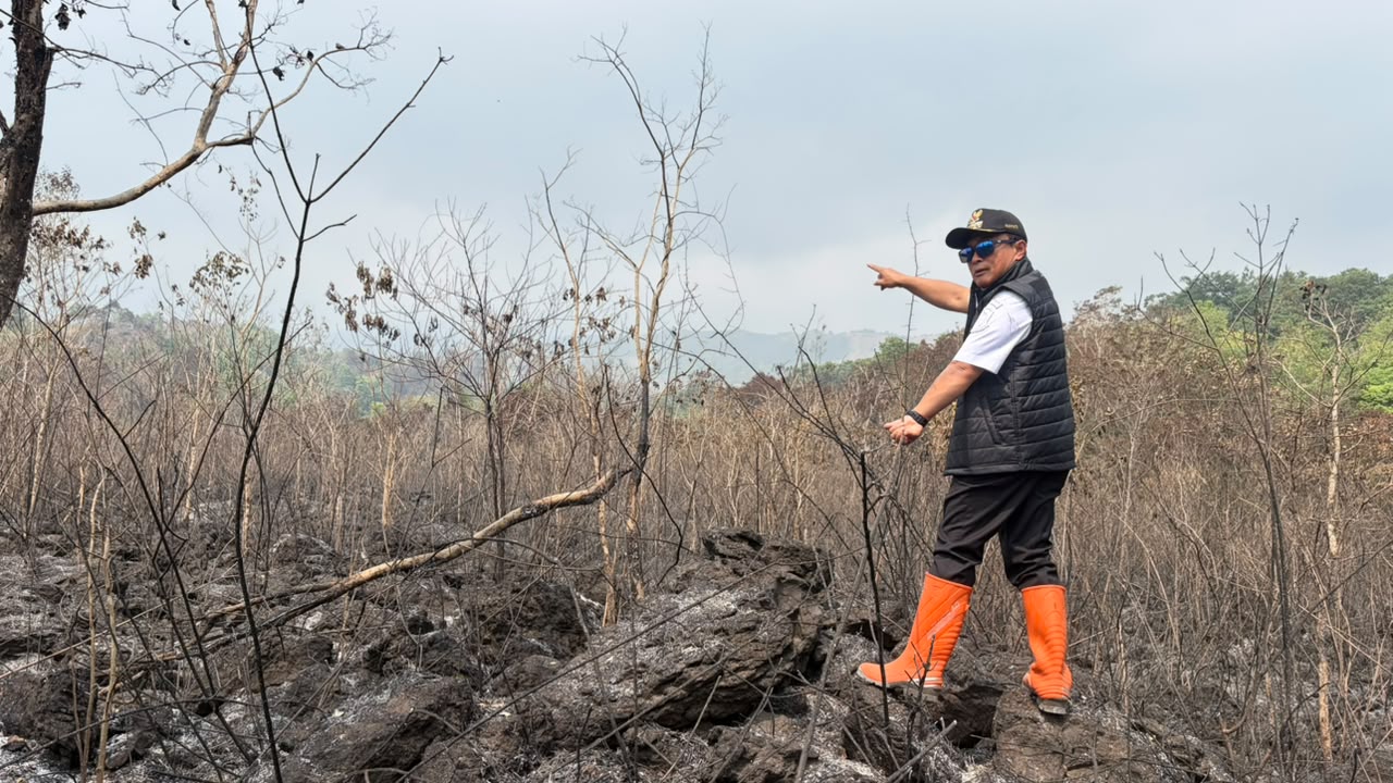 Hanguskan 40 Hektare Lahan Ciremai, Bupati Dian Yanuar Beberkan Bahaya Api Melompat di Lokasi